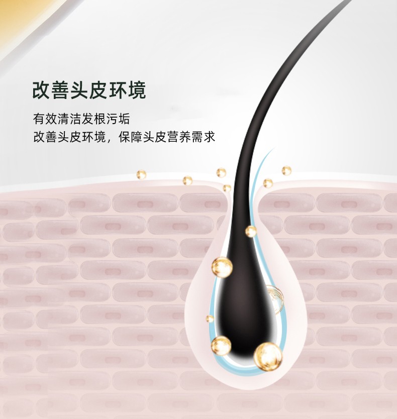 改善頭皮環(huán)境   有效清潔發(fā)根污垢   改善頭皮環(huán)境，保障頭皮營養(yǎng)需求
